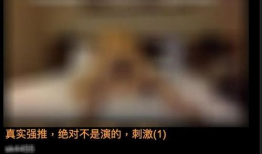 黄视频观看,探索网络短视频背后的秘密与影响